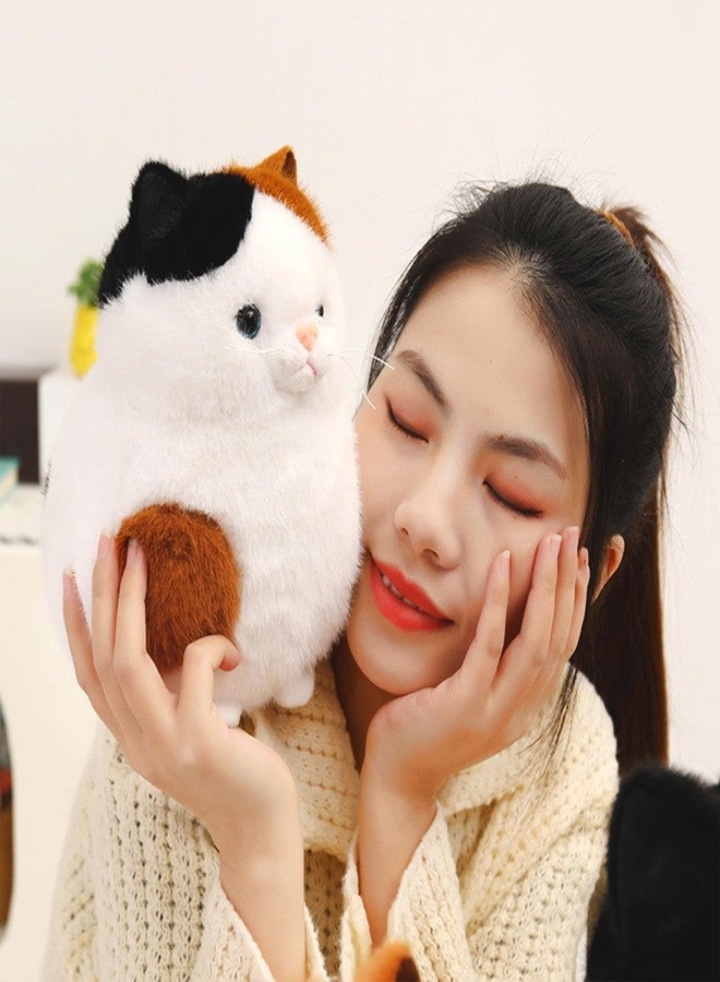 PEACH CAT دبدوب قطة كاليكو فاتحة من بيش - لعبة قطة صغيرة ناعمة هدايا للأطفال بيضاء 7.9" - Image 4