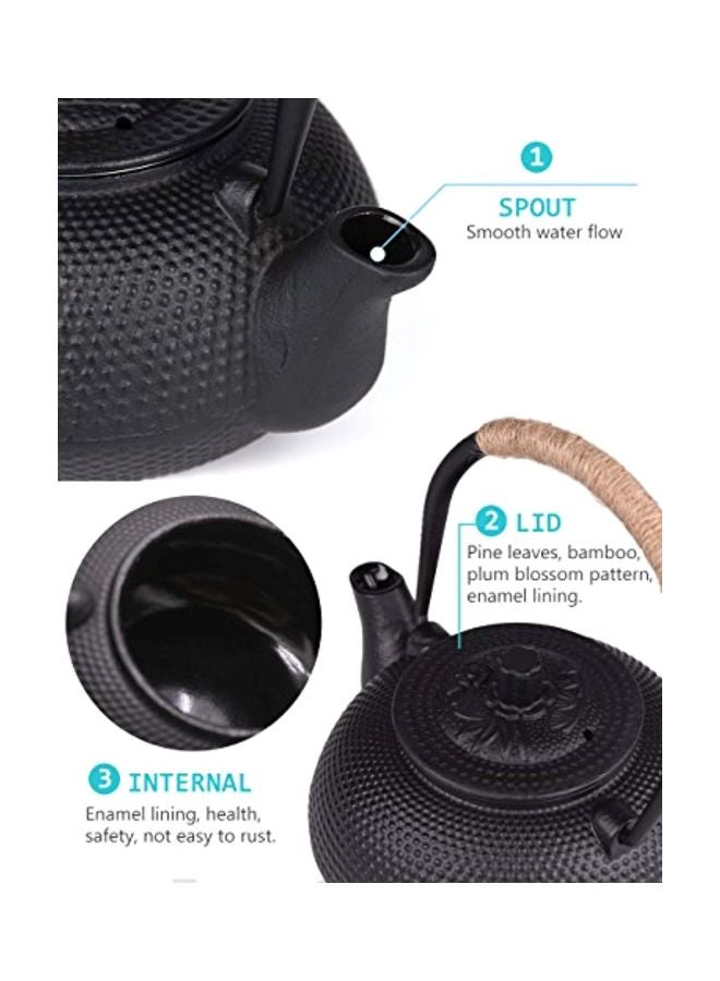 Towa Cast Iron Tea Kettle With Infuser - Image 4