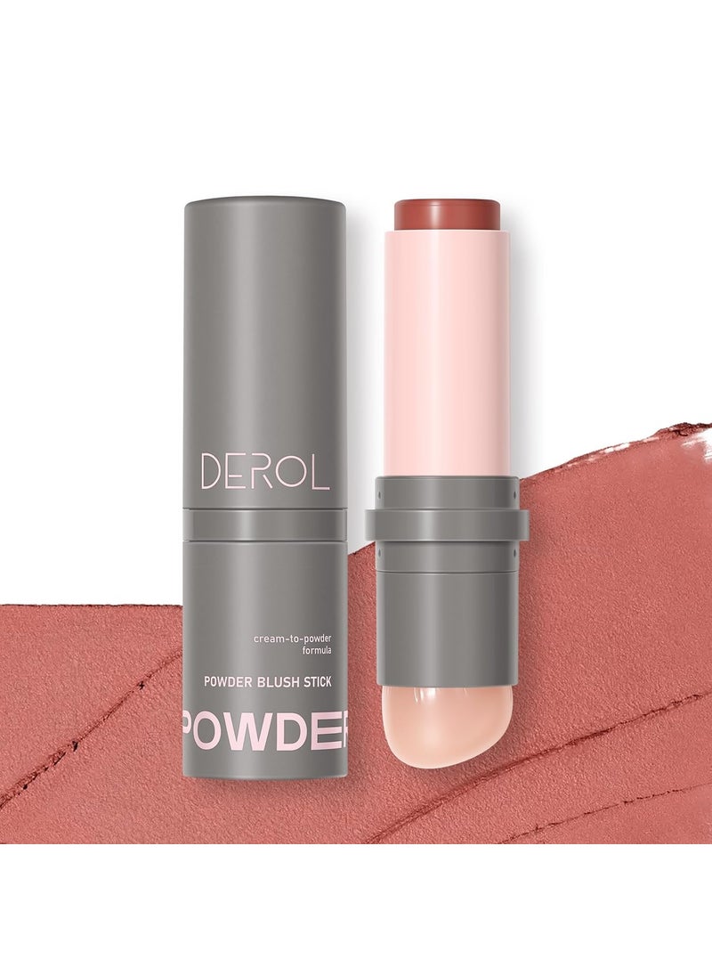 SWETIYOU Cream to Powder Blush Stick BuiltIn Jellylike Silicone Makeup Applicator Buildable  Blendable Multiuse Blush Makeup Stick for Cheeks Lips and Eyes 05 MEET ME THERE 