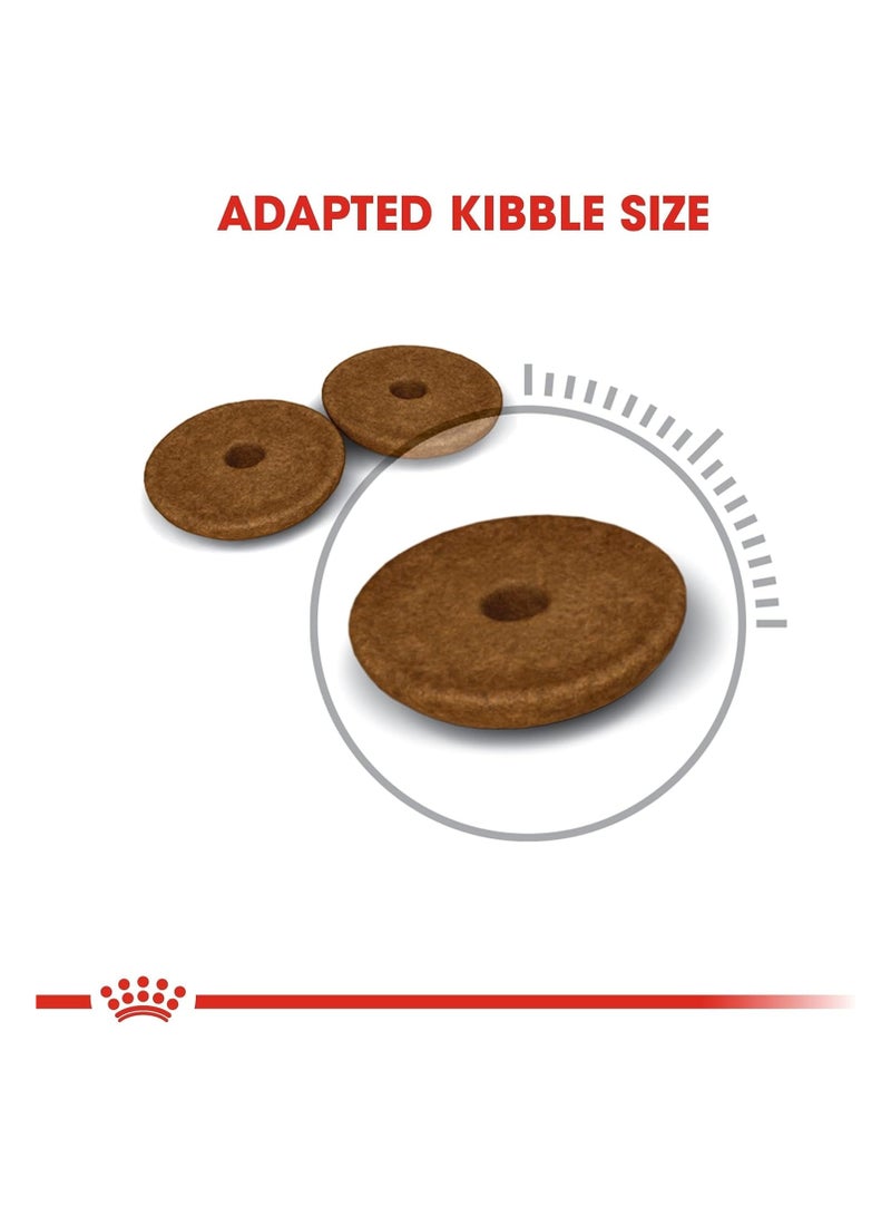 Royal Canin Fcn Feline Care Nutrition Digestive  Cat Dry Food - Image 4