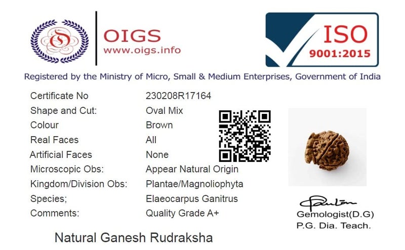 Natural Ganesh Rudraksha