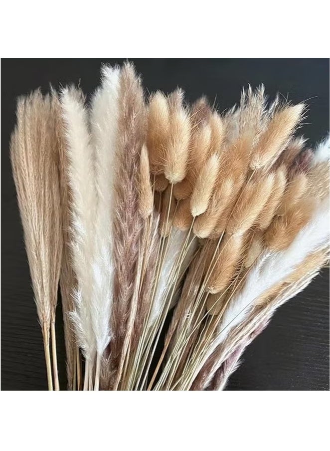 Natural Dried Pampas Grass Bouquet 100 Pcs Dried Reed Flowers Boho Home Decor Fluffy Stem Bouquet for Home Table Decorations Wedding Floral Arrangements - Image 4