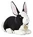 Aurora World Miyoni Dutch Rabbit Black and White 10 Plush - Image 2