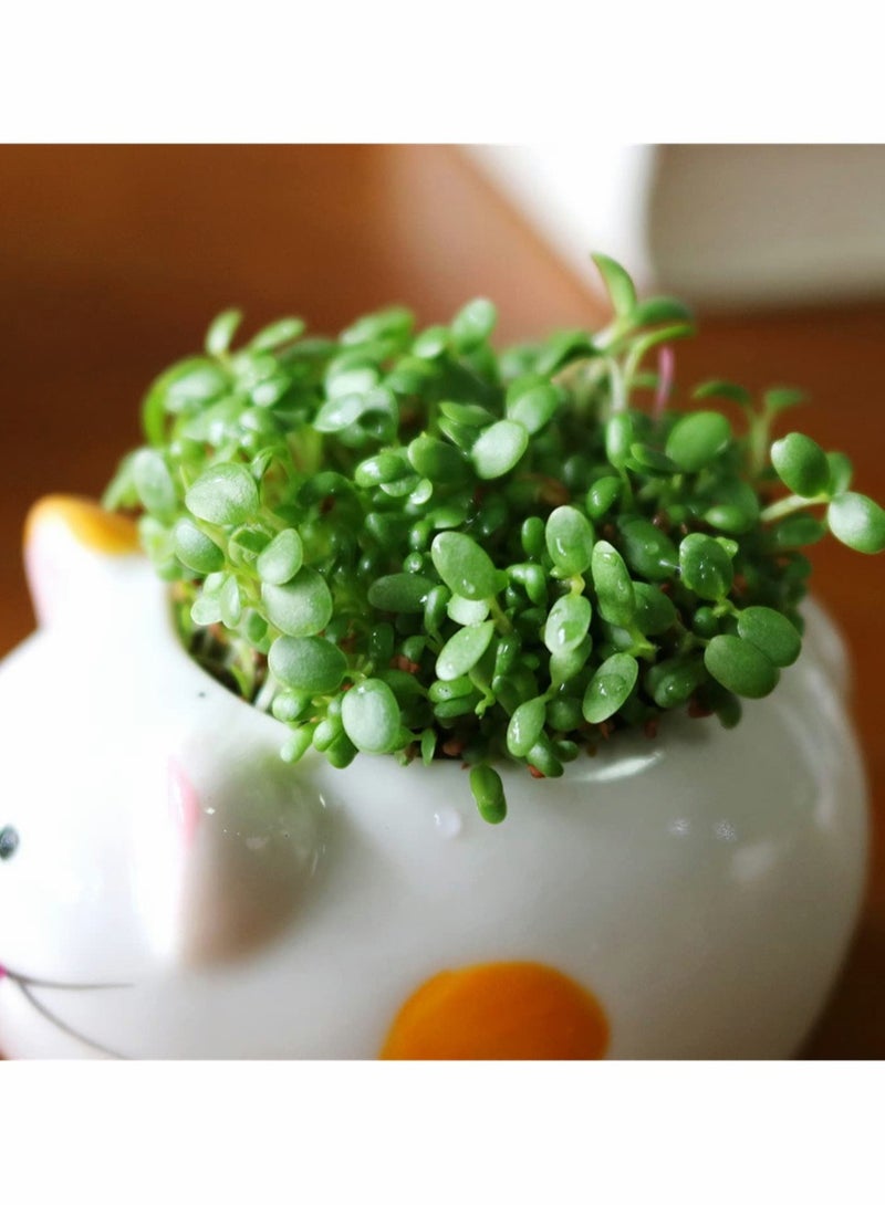 Luckam 4 قطع وعاء نباتي ذاتي السقي، وعاء نباتي صغير بتصميم لسان حيوان للشرب من السيراميك لتزيين المنزل والمكتب والحديقة والنوافذ، هدايا - Image 5