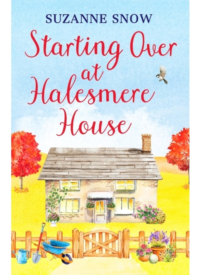 Starting Over at Halesmere House - Paperback