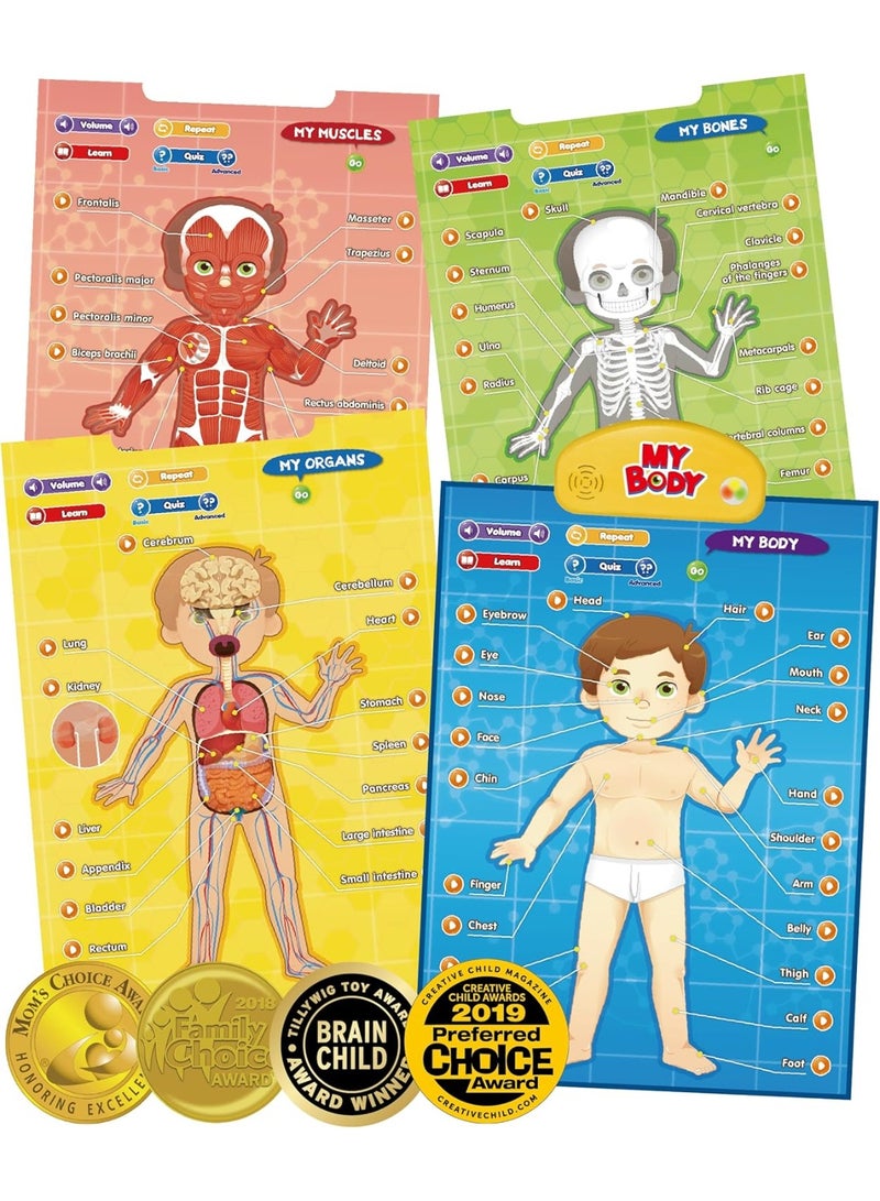 بست ليرنينج ملصق إلكتروني تعليمي تفاعلي ناطق يوضح تشريح جسم الإنسان لتعليم أجزاء الجسم - Image 1