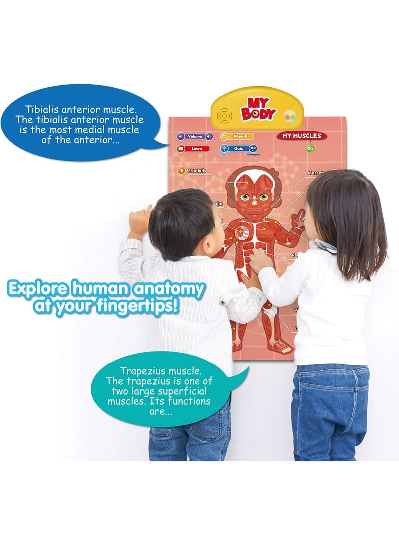 بست ليرنينج ملصق إلكتروني تعليمي تفاعلي ناطق يوضح تشريح جسم الإنسان لتعليم أجزاء الجسم - Image 2