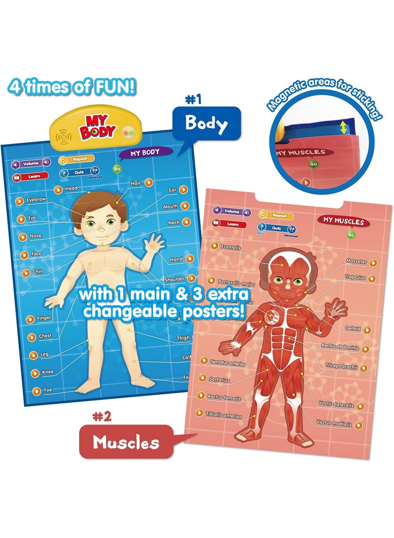 بست ليرنينج ملصق إلكتروني تعليمي تفاعلي ناطق يوضح تشريح جسم الإنسان لتعليم أجزاء الجسم - Image 5