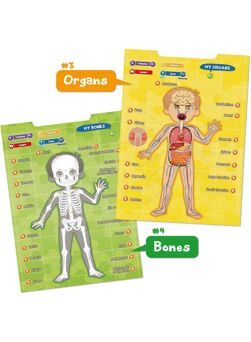 بست ليرنينج ملصق إلكتروني تعليمي تفاعلي ناطق يوضح تشريح جسم الإنسان لتعليم أجزاء الجسم - Image 3