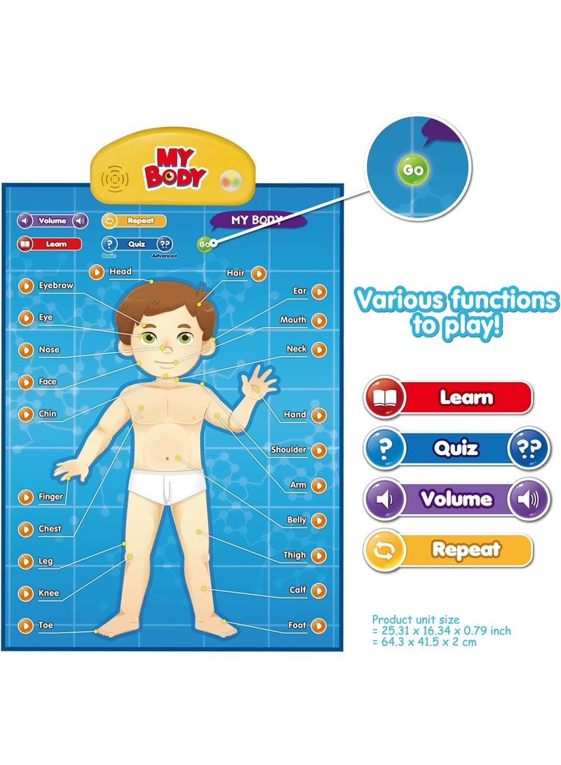 بست ليرنينج ملصق إلكتروني تعليمي تفاعلي ناطق يوضح تشريح جسم الإنسان لتعليم أجزاء الجسم - Image 4