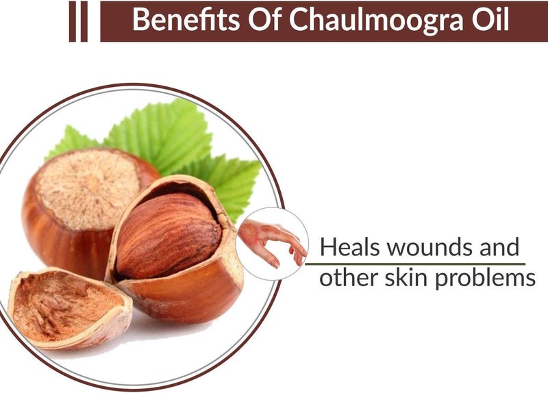 Salvia Chaulmoogra Hydnocarpus Wightianus Oil100 Pure  Natural Undiluted Carrier Oil Organic Standard for Skin  HaircareSoothe  Moisturize Irritated Skin  Dandruff 100ml - Image 3