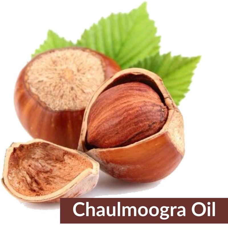 Salvia Chaulmoogra Hydnocarpus Wightianus Oil100 Pure  Natural Undiluted Carrier Oil Organic Standard for Skin  HaircareSoothe  Moisturize Irritated Skin  Dandruff 100ml - Image 2