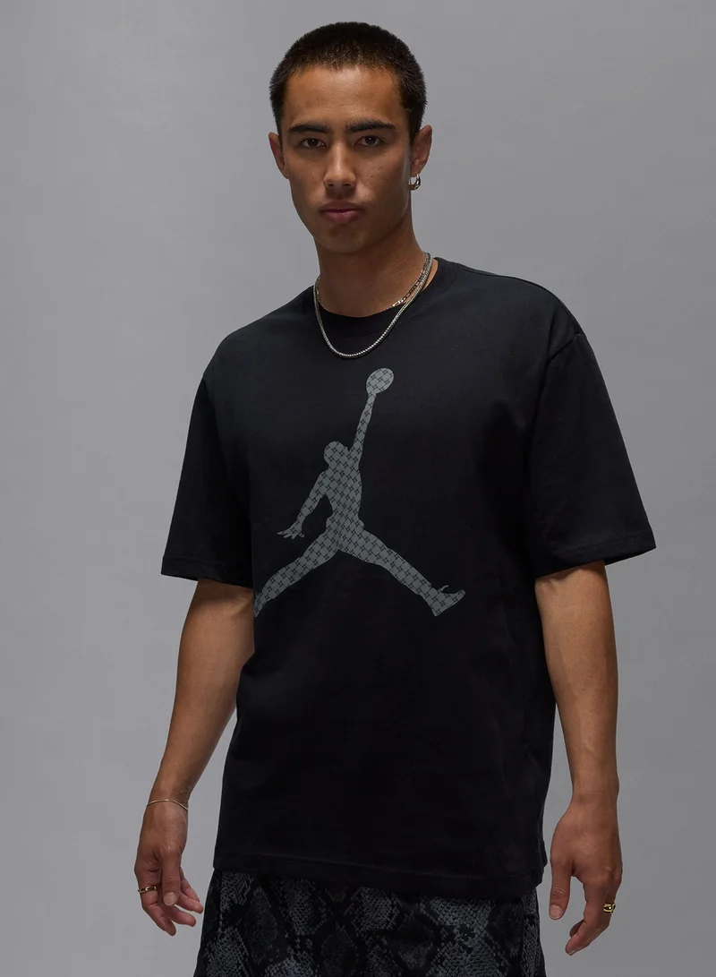Jordan M J Brk Mg Fill Ss Crew