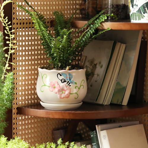 STHIE Ceramic Plant Pots with Drainage Holes and Saucers, Round Flower Pots for Indoor Plant, 4/5.2/6.6 Inches Flower Large Planters Set of 3 - Image 5