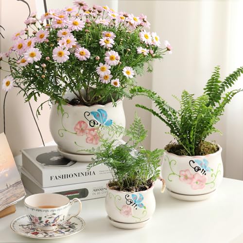 STHIE Ceramic Plant Pots with Drainage Holes and Saucers, Round Flower Pots for Indoor Plant, 4/5.2/6.6 Inches Flower Large Planters Set of 3 - Image 2