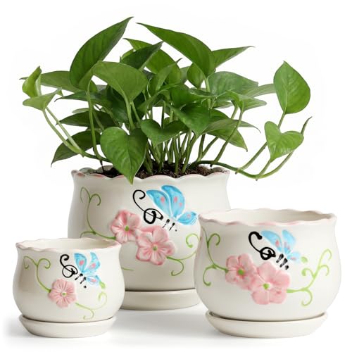 STHIE Ceramic Plant Pots with Drainage Holes and Saucers, Round Flower Pots for Indoor Plant, 4/5.2/6.6 Inches Flower Large Planters Set of 3 - Image 1
