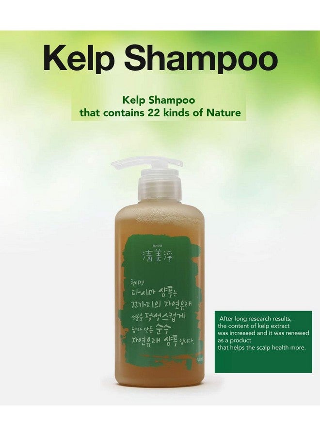 G] Kelp Small Scalp Shampoo Dandruff Shampoo 500Mlorganic 18 Ingredients From Nature For Sensitive Skin Korean Skincare16.91 Fl Oz (Pack Of 1)