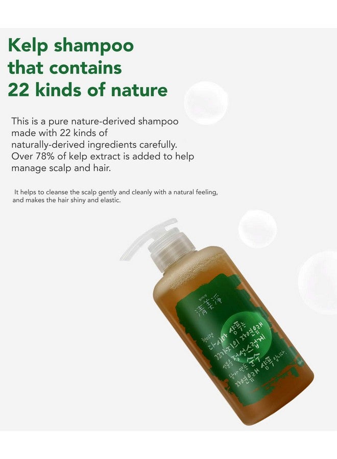 G] Kelp Small Scalp Shampoo Dandruff Shampoo 500Mlorganic 18 Ingredients From Nature For Sensitive Skin Korean Skincare16.91 Fl Oz (Pack Of 1)