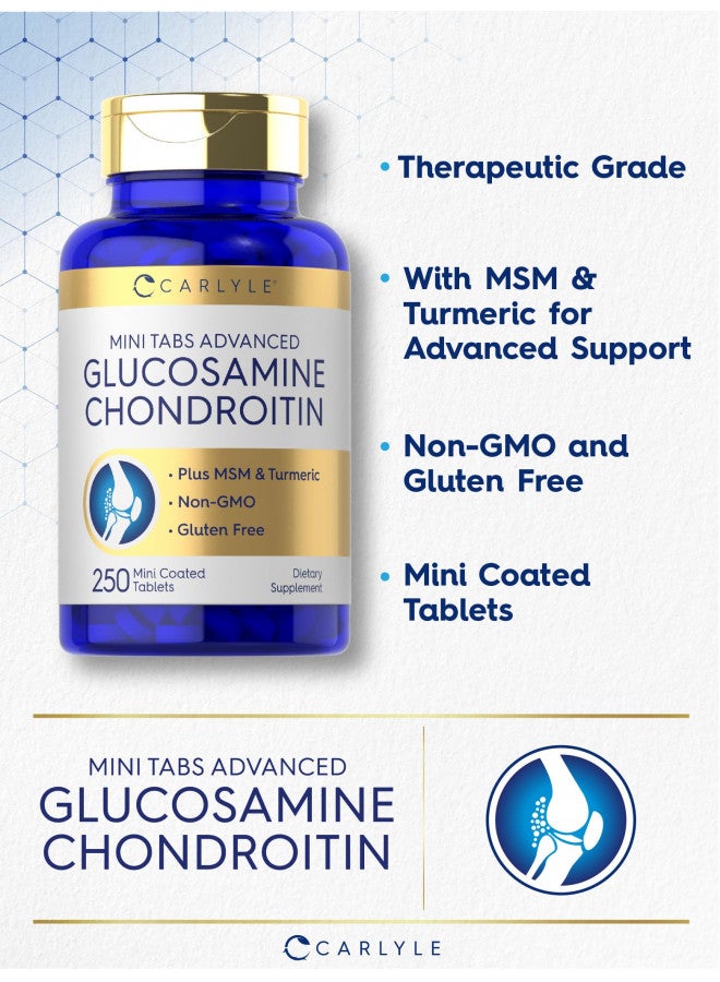 Carlyle Carlyle Glucosamine Chondroitin MSM Turmeric | 250 Mini Tablets | Non-GMO and Gluten Free  - Image 4
