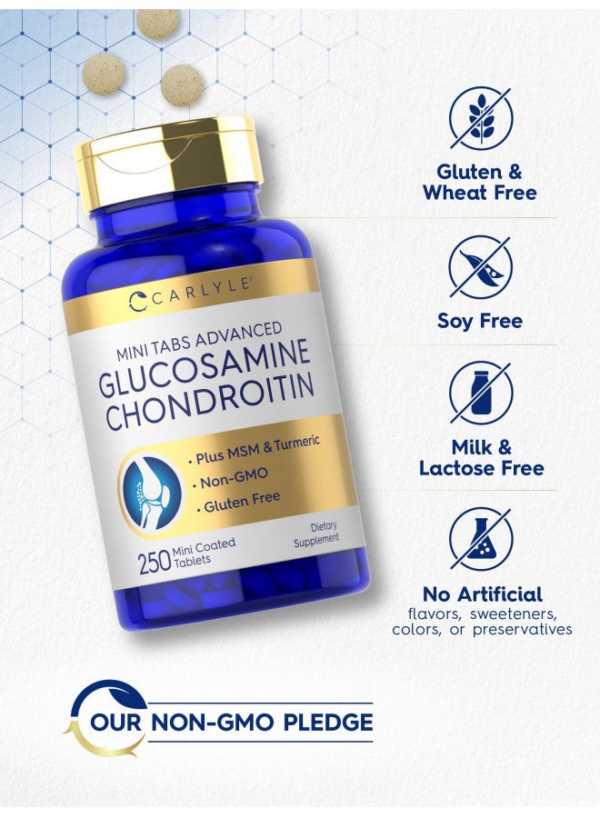 Carlyle Carlyle Glucosamine Chondroitin MSM Turmeric | 250 Mini Tablets | Non-GMO and Gluten Free  - Image 5