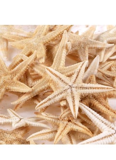 KASTWAVE 100 Pcs Small Starfish Star Sea Shell Beach for Craft 0.4"-1.9"Starfish for Wedding Decor, Beach Theme Party, Home Decoration  - Image 4