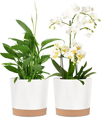 kubvici 2 Pack 8 Inch Planters for Indoor Plants Plastic Flower Pots Plant Pots Indoor with Drainage Saucer for Outdoor Garden Home Plant White 8