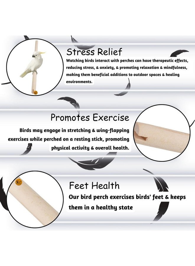 Sage Square Natural Wood Bird Perch For Cage - Promotes Healthy Feet And Nails, Perfect For Parakeets & Cockatiels, Natural, Durable & Comfortable Roosting Spot For Your Feathered Friend (Pack Of 4) - Image 5
