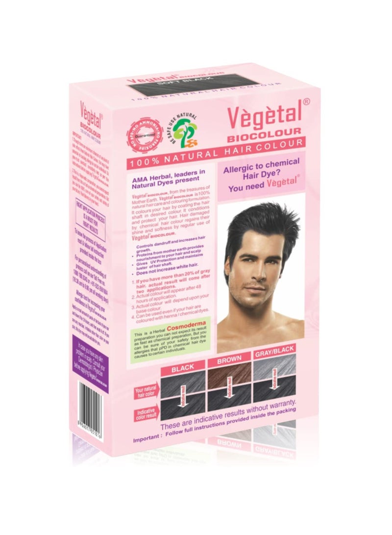 Vegetal Bio Hair Colour - Soft Black | 50g | Achieve Natural, Ammonia-Free Hair Color | PPD-Free, 100% Herbal Certified Organic for Men and Women | UV Protection and Luster Maintenance | Complete Kit - Image 2