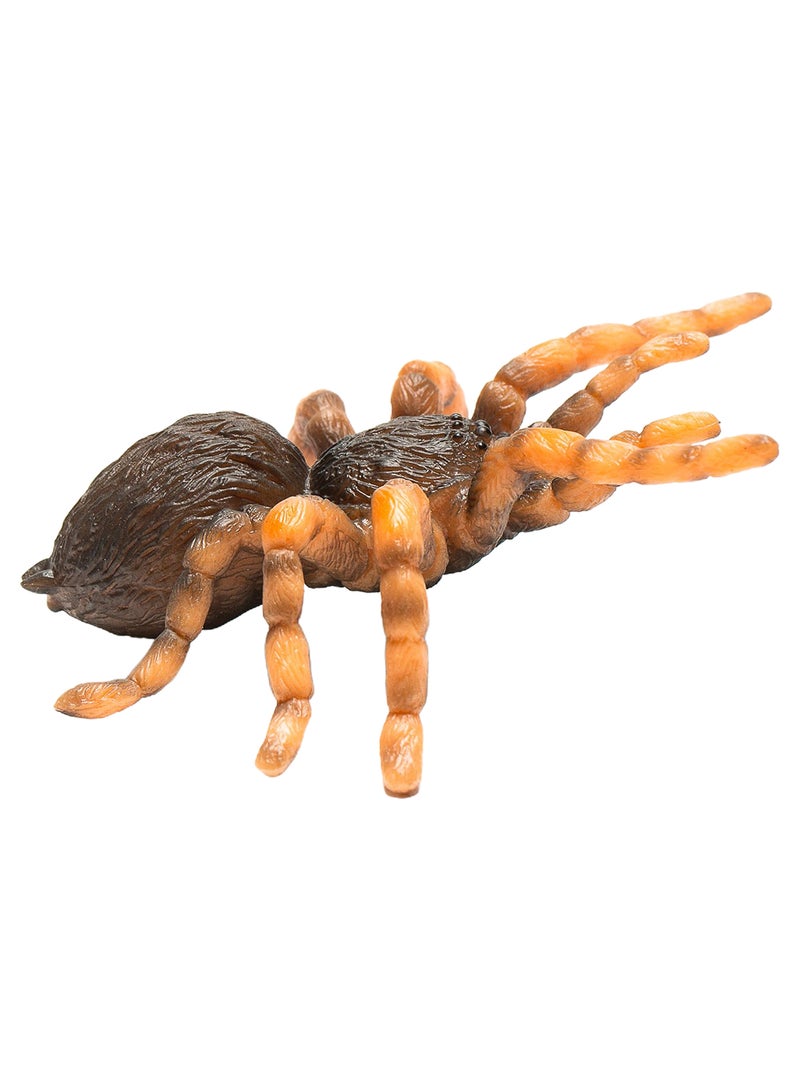 CollectA Insects Mexican Redknee Tarantula Toy Figure - Authentic Hand Painted Arachnid Model - Image 2
