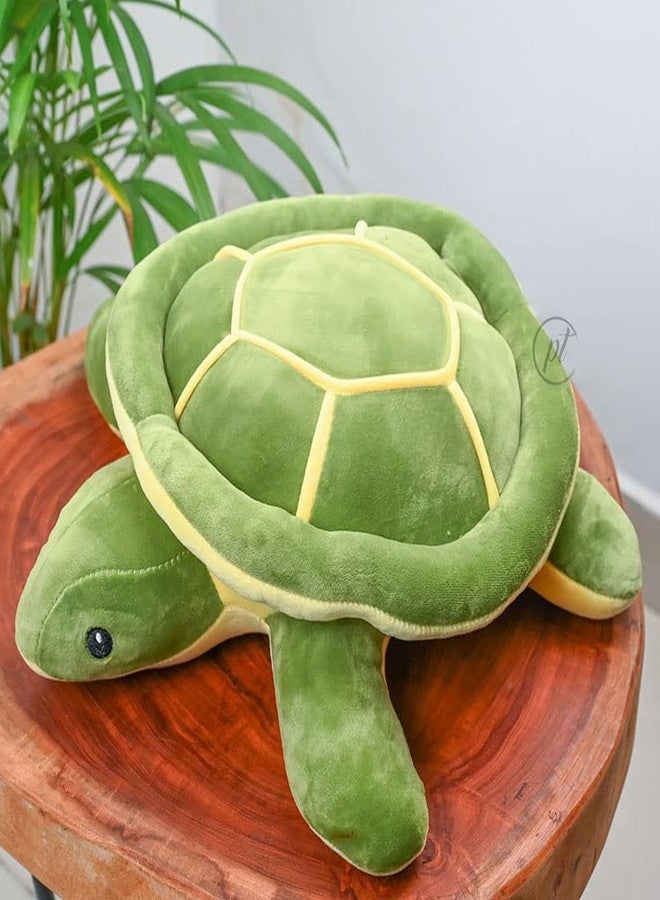Promote Trader Stuffed Soft Toys, Turtle Soft Toys, 32 cm, Soft Toys for Baby Girl, Kids, Plush Toys, Plushies Soft Toys, Birthday Gift for Girls, Plush Soft Toys for Kids - Image 3