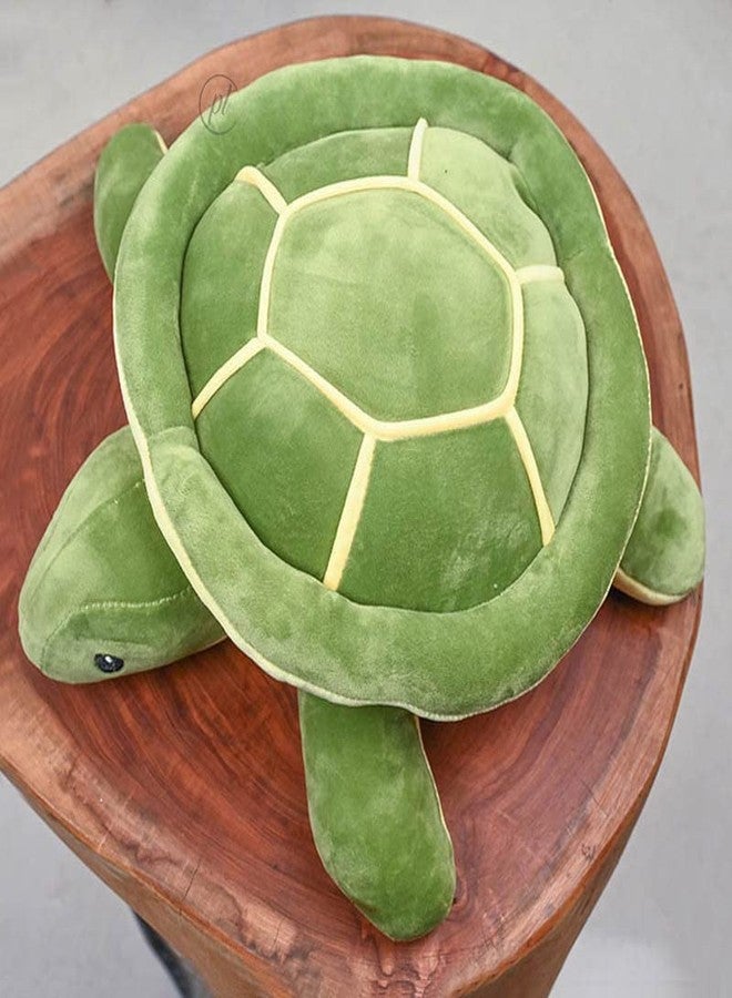 Promote Trader Stuffed Soft Toys, Turtle Soft Toys, 32 cm, Soft Toys for Baby Girl, Kids, Plush Toys, Plushies Soft Toys, Birthday Gift for Girls, Plush Soft Toys for Kids - Image 4