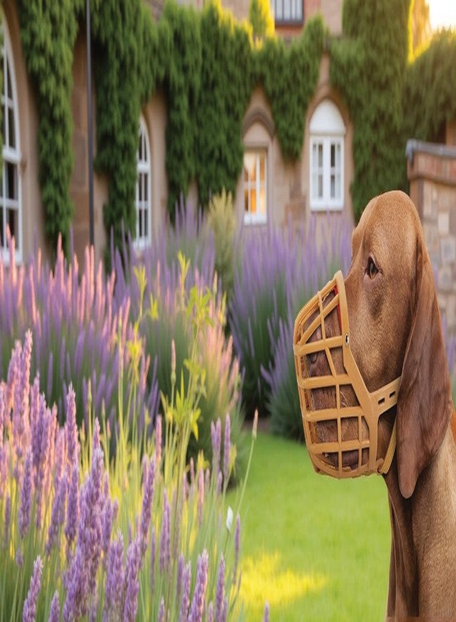 JorVet Nylon Basket Muzzle #4, w/Quick Release Buckle | Soft, Adjustable & Breathable | Comfortable Fit for All Dogs | Prevents Biting | Ideal for Walks, Vets & Grooming | Tan - Image 3