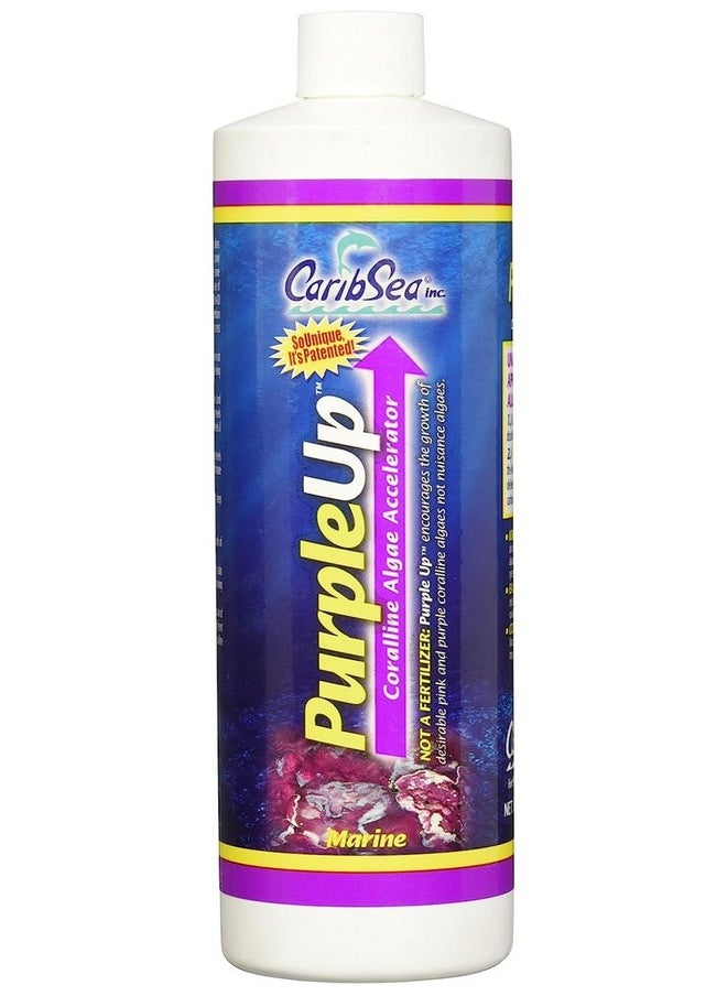 Carib Sea CaribSea Purple Up Algae Accelerator, 16-Ounce  - Image 1