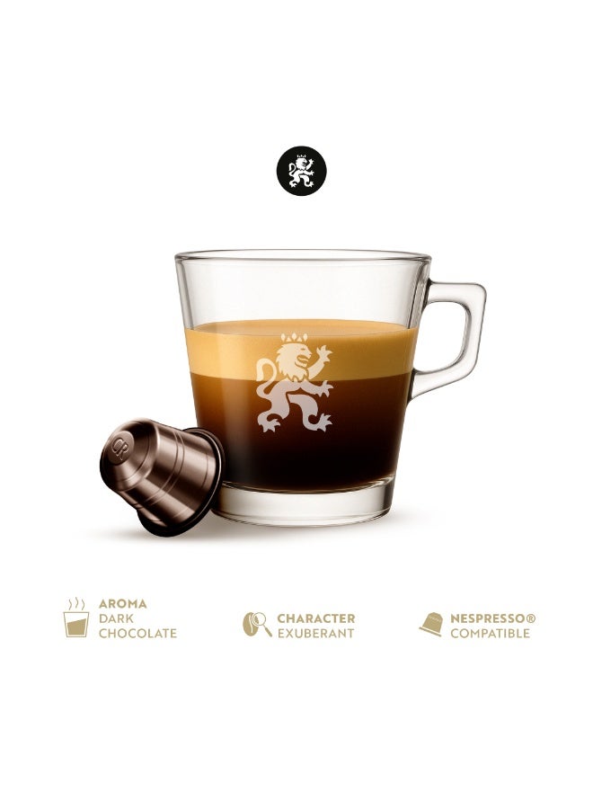 Cafe Royal كافيه رويال شوكولاتة داكنة 10 كبسولات - Image 2