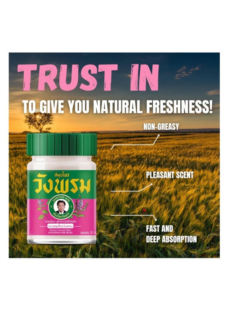 Wang Prom Thai Herbal Massage Balm - 50gm - Image 5