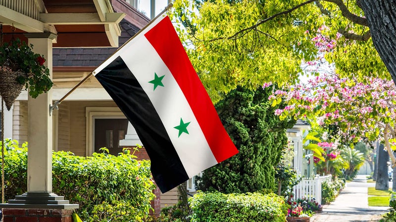 DANF FLAG Syria Flag 3x5ft Two Stars Printed Polyester Flag with Grommets - Image 3