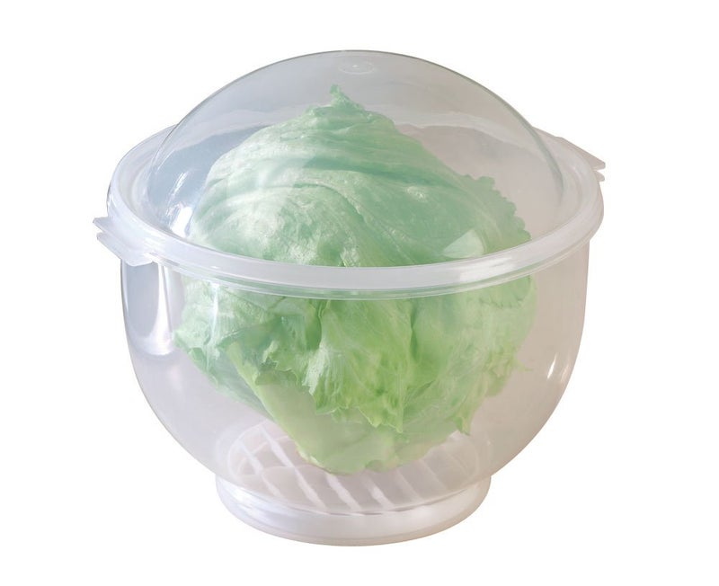 WalterDrake Lettuce KeeperTM - Lettuce Crisper Salad Keeper Container Keeps your Salads and Vegetables Crisp and Fresh- 7" X 8" - Image 1