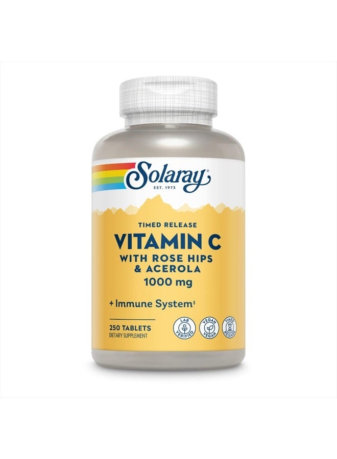 SOLARAY فيتامين ج مع وردة الورد وأسرولا | 1000 ملغ | إطلاق مؤقت على مرحلتين لدعم وظيفة المناعة الصحية، البشرة، الشعر والأظافر | غير معدّل وراثيًا | 250 حبة - Image 1