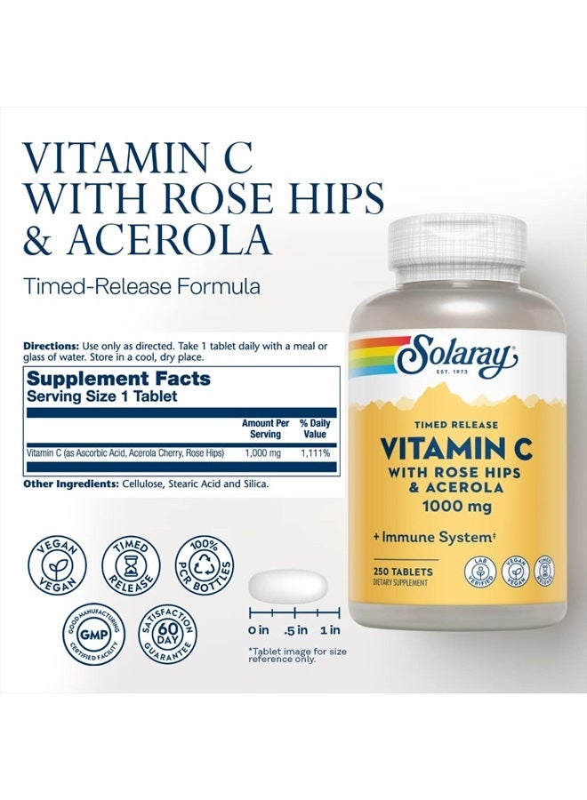 SOLARAY فيتامين ج مع وردة الورد وأسرولا | 1000 ملغ | إطلاق مؤقت على مرحلتين لدعم وظيفة المناعة الصحية، البشرة، الشعر والأظافر | غير معدّل وراثيًا | 250 حبة - Image 2