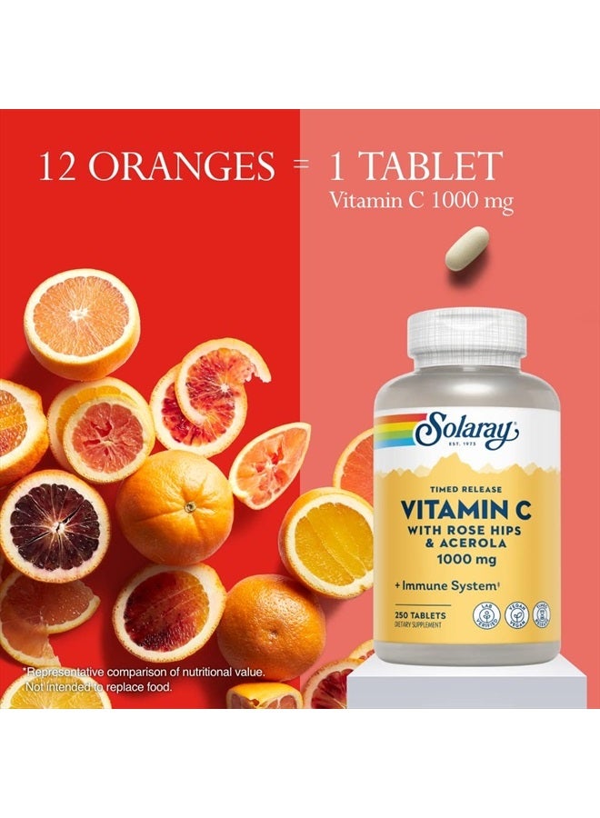 SOLARAY فيتامين ج مع وردة الورد وأسرولا | 1000 ملغ | إطلاق مؤقت على مرحلتين لدعم وظيفة المناعة الصحية، البشرة، الشعر والأظافر | غير معدّل وراثيًا | 250 حبة - Image 4