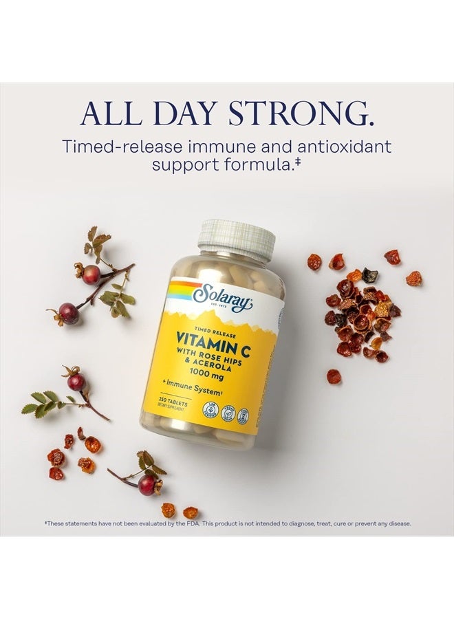 SOLARAY فيتامين ج مع وردة الورد وأسرولا | 1000 ملغ | إطلاق مؤقت على مرحلتين لدعم وظيفة المناعة الصحية، البشرة، الشعر والأظافر | غير معدّل وراثيًا | 250 حبة - Image 3
