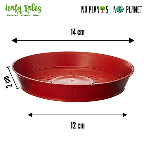 Leafy Tales Planter Bottom Plate/Gamla Dripping Tray, Terracotta Color Plastic pots | (4-inch, Brown, Pack of 16), small - Image 2