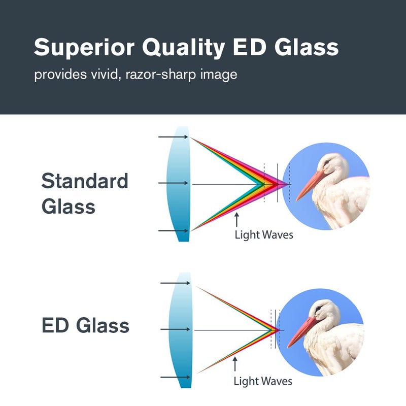 سلسترون مناظير سيليسترون 72332 Nature DX ED 8x42 للاستخدام الخارجي والطيور مع عدسات موضوعية منخفضة التشتت للغاية، متعددة المغلفة بالكامل بمنشورات BaK-4، مدرعة مطاطية، ضباب ومقاومة للماء - Image 3