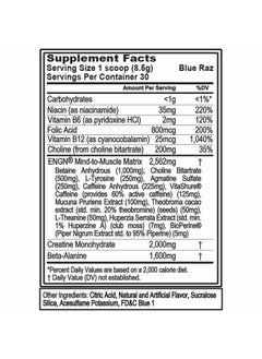 Evlution EVL Intense Pre Workout with Creatine - ENGN Energizing Pre Workout for Men Powder Drink for Lasting Energy Focus and Recovery - with Beta Alanine Caffeine and L Theanine - Blue Raz  - Image 2
