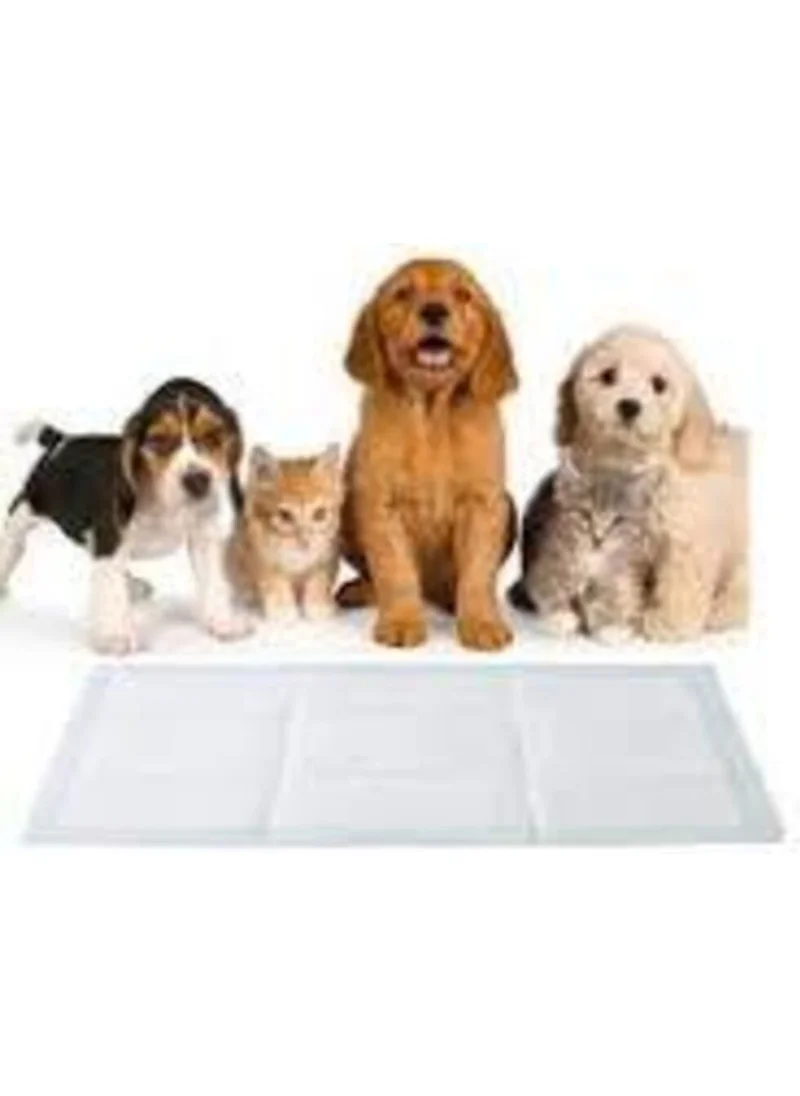 Onlyone 60X90 cm Dog Pee Pad 30 Lu X6 Only Dog