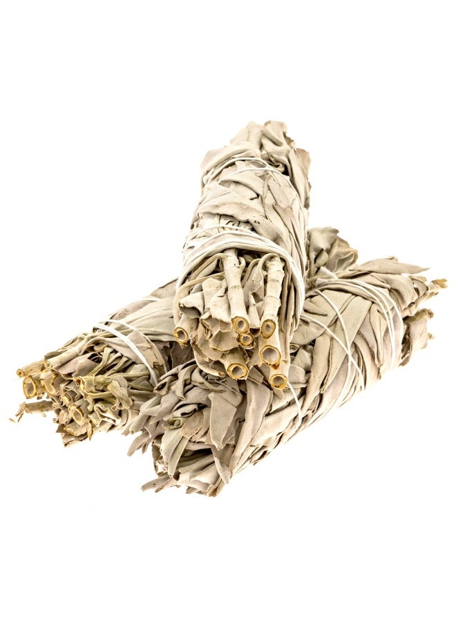 Premium California White Sage Smudge Stick 6 Inch  3 Pack Packaged In Usa