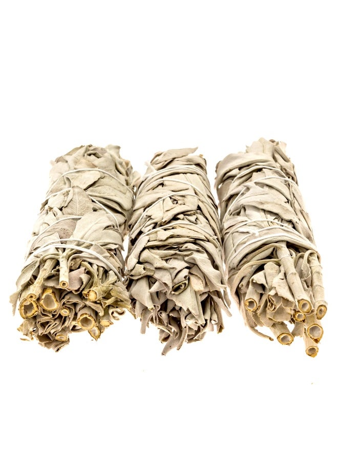 Premium California White Sage Smudge Stick 6 Inch  3 Pack Packaged In Usa