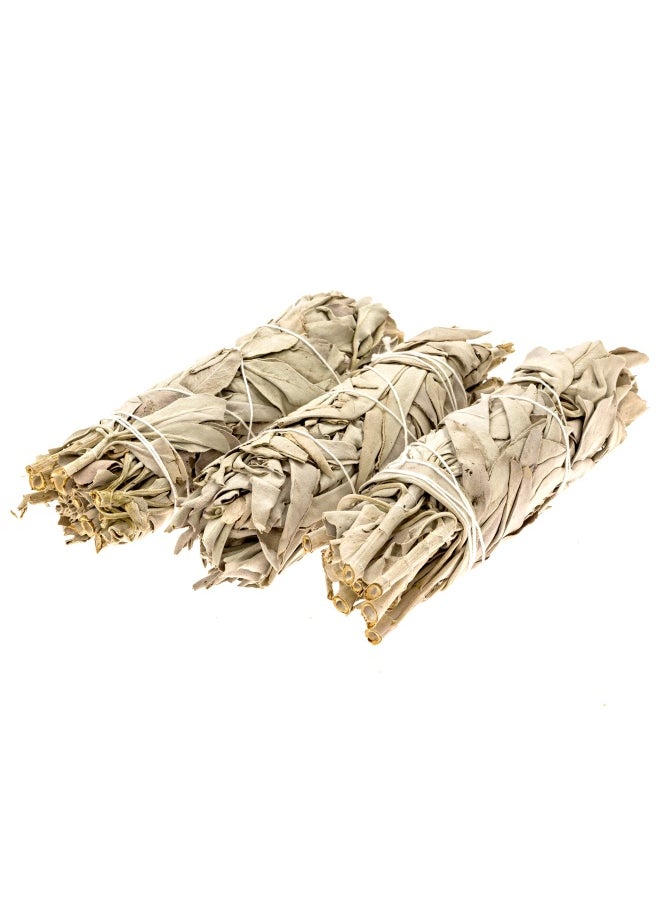Premium California White Sage Smudge Stick 6 Inch  3 Pack Packaged In Usa