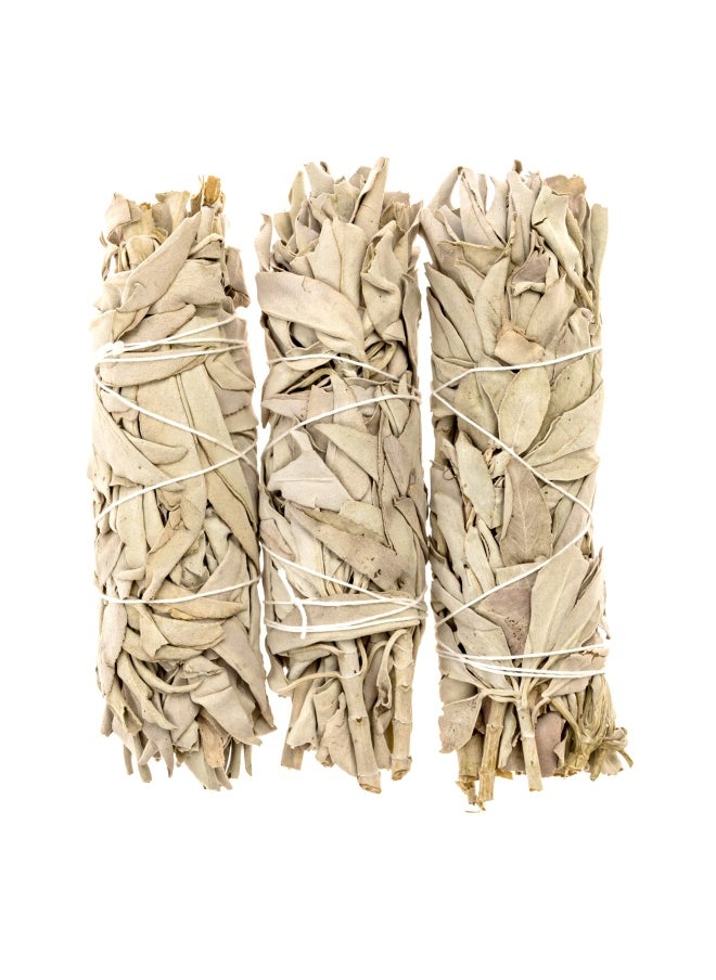 Premium California White Sage Smudge Stick 6 Inch  3 Pack Packaged In Usa