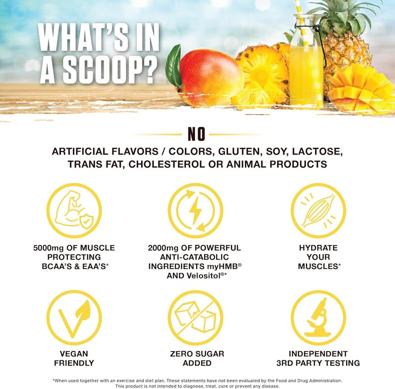 Ambrosia Hydroglyph Intraworkout Formula wBCAA  EAA  Electrolytes Hydration Powder to Protect Lean Muscle 0g Sugar Fasting Hydration Drink Mix Made wCoconut Water Pineapple Mango - Image 3